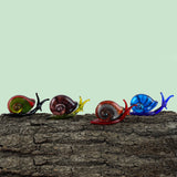 Glass Snail (available in 4 colours)
