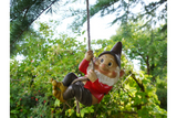 Cheeky gnome on a rope