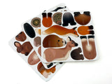 Woodland Animals