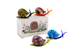 Glass Snail (available in 4 colours)