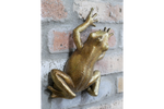 Wall frog - gold