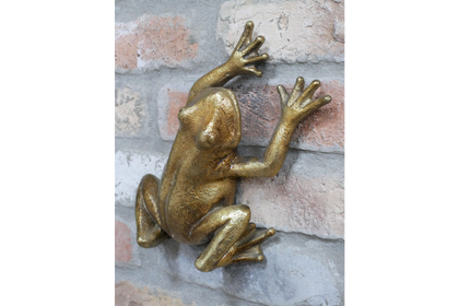 Wall frog - gold