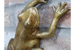 Wall frog - gold