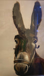 Donkey Picture