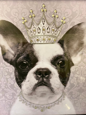 Frenchie with jeweled crown picture