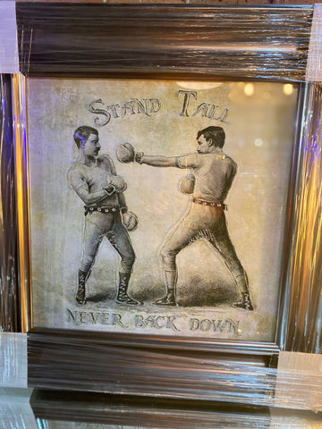 Stand Tall boxing picture
