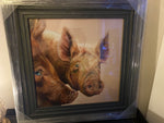 Pigs picture